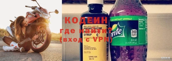 индика Медногорск