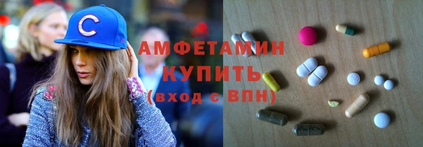 индика Медногорск