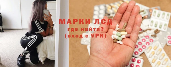 индика Медногорск