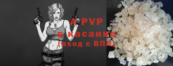 индика Медногорск