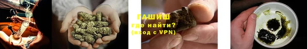индика Медногорск