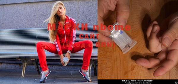индика Медногорск