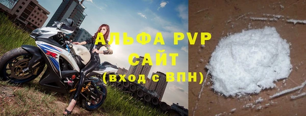 индика Медногорск