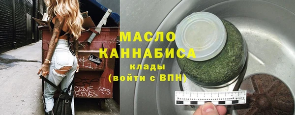 индика Медногорск