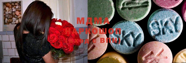 индика Медногорск