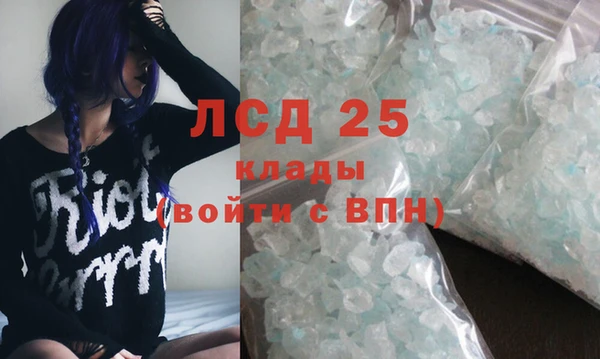 индика Медногорск