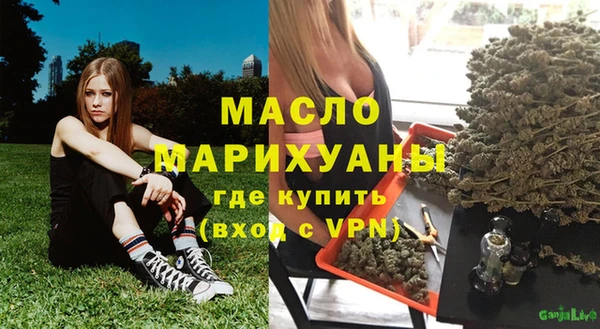индика Медногорск