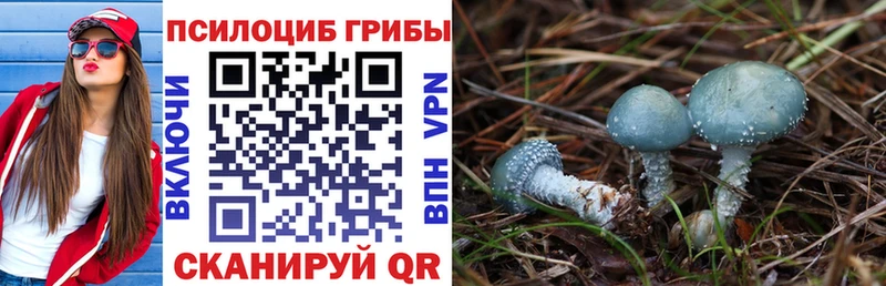 Купить где  Светлоград  Галлюциногенные грибы мухоморы 